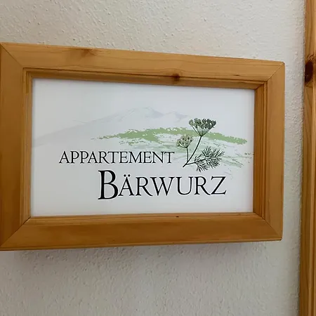 Prázdninový dům Appartementhaus Zur Bergwiese