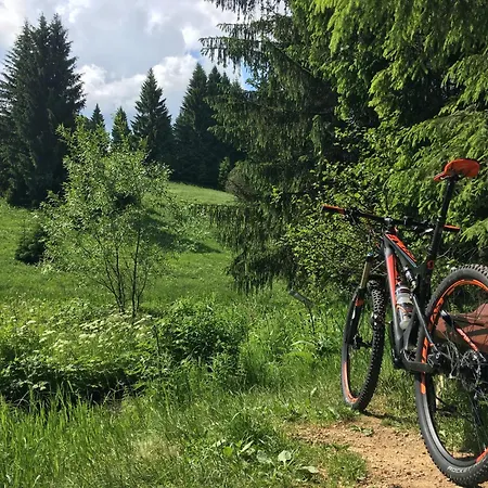 Appartementhaus Zur Bergwiese Prázdninový dům Furstenau (Saxony)