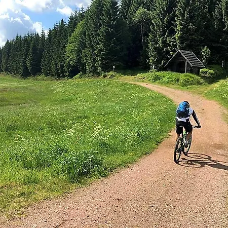 Appartementhaus Zur Bergwiese *
