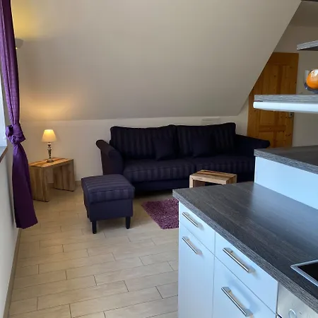 Appartementhaus Zur Bergwiese Vakantiehuis Furstenau (Saxony)